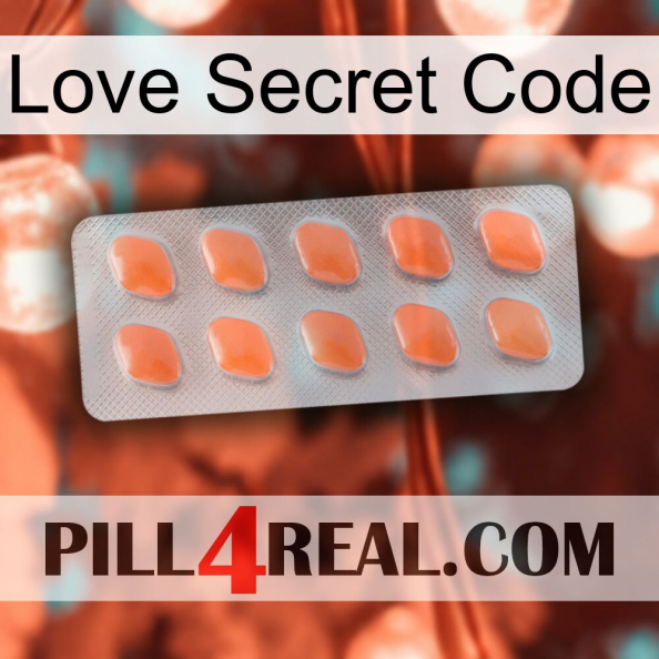 Love Secret Code 26